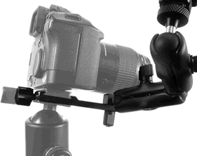 Camera with Camera Body Plate P-5 mounted on ball head with F-2 Macro Bracket attached to P-5
